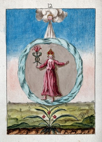 A crowned woman in red holding a rose-topped caduceus- she is suspended in a circle of water- a cherub blows wind from above-representing a stage in the process of alchemy. Coloured etching, ca. 18.jpg
