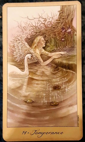 1 swan maiden.jpg