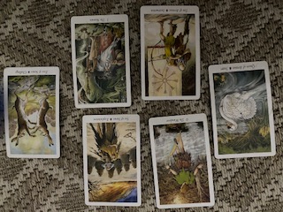 The Wildwood Tarot