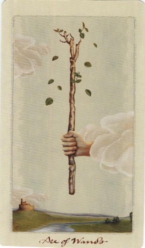 2018 07 13 Pagan Otherworlds Ace of Wands.jpg