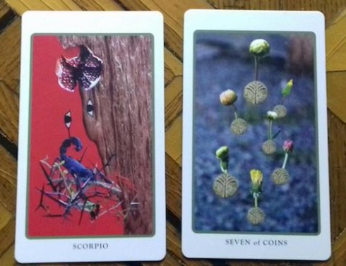 Scorpio &amp; Seven of Coins