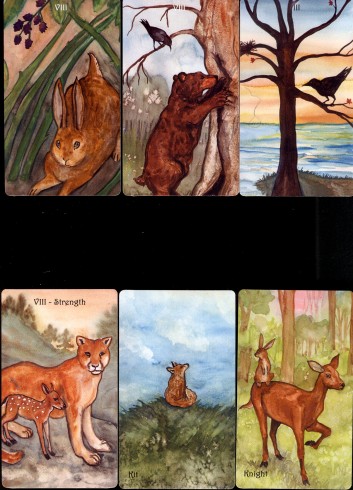 badgers forest six cards.jpg