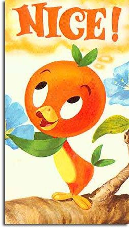 orange bird nice.jpg