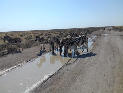 Namibia