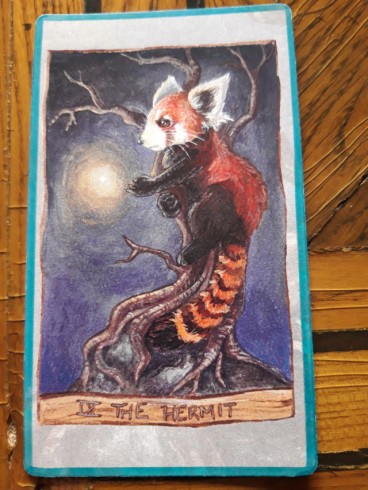 Red Panda - The Hermit