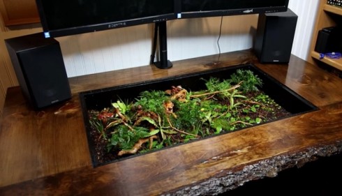 Tarrarium Computer Desk.jpeg